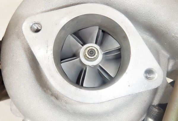 IMG_4989